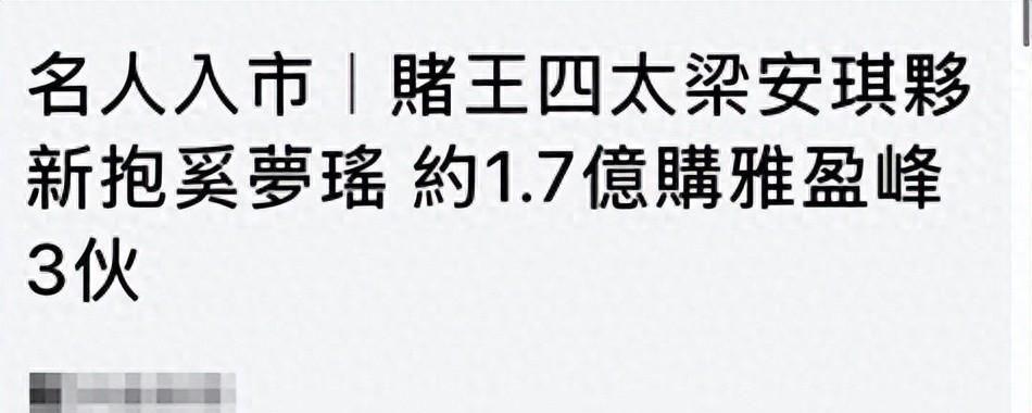 PG电子官方网站-梁安琪带奚梦瑶扫货豪宅，同层豪掷1.68亿，拿下三套李泽楷新楼盘